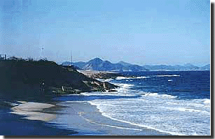 beach2.gif (37254 bytes)