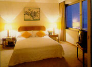 room.jpg (8481 bytes)